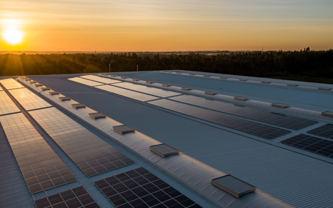 Know Before You Go: Solar Utility Projects
